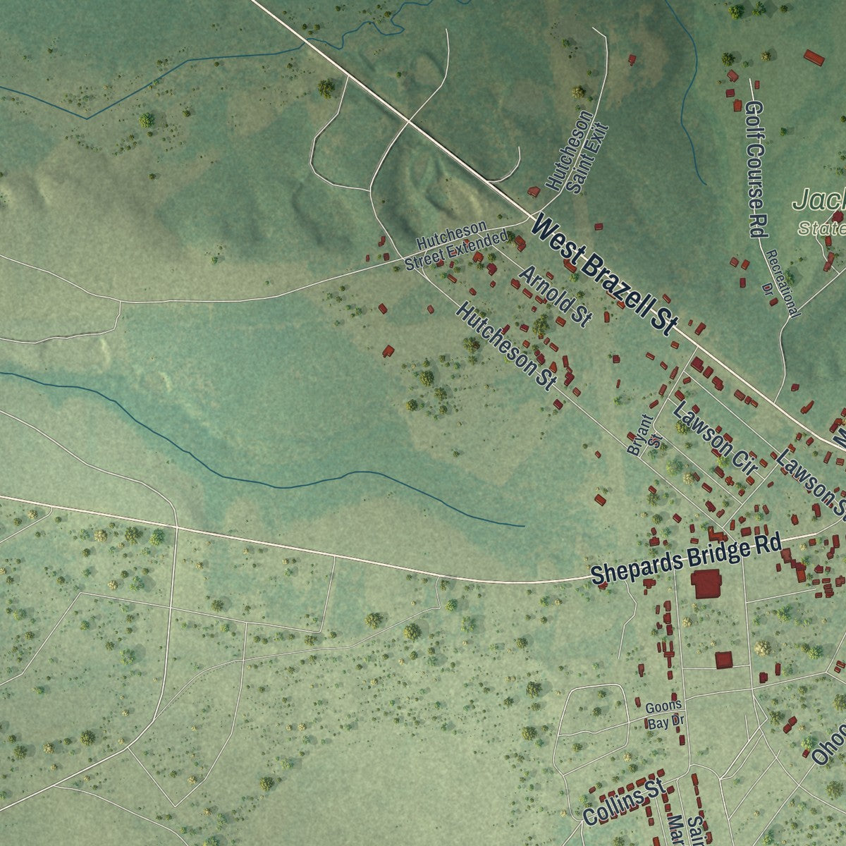 Close-up 2 of the Reidsville, Georgia map artwork