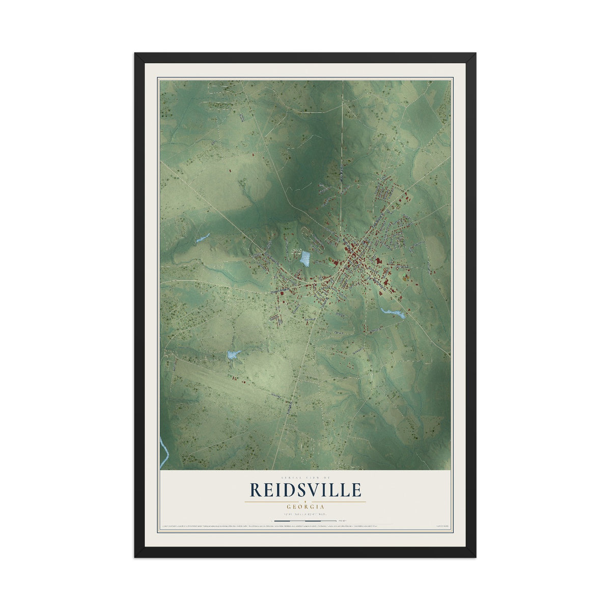 Reidsville, Georgia map print, 12" x 18" W/ Black Ayous Wood Frame mockup