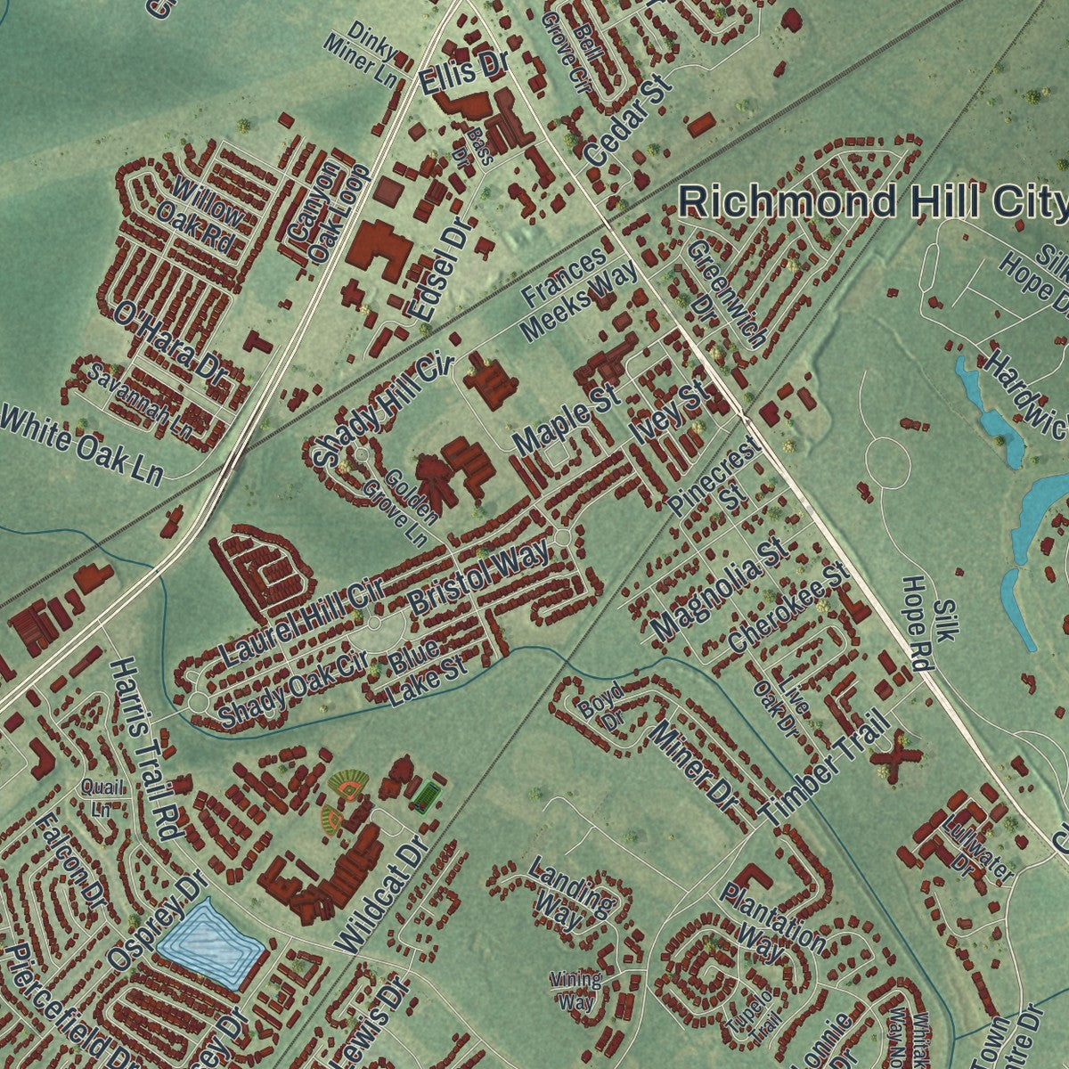Close-up 1 of the Richmond Hill, Georgia map artwork