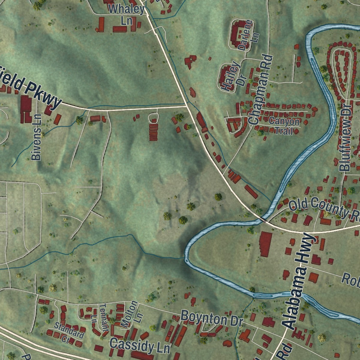 Close-up 2 of the Ringgold, Georgia map artwork