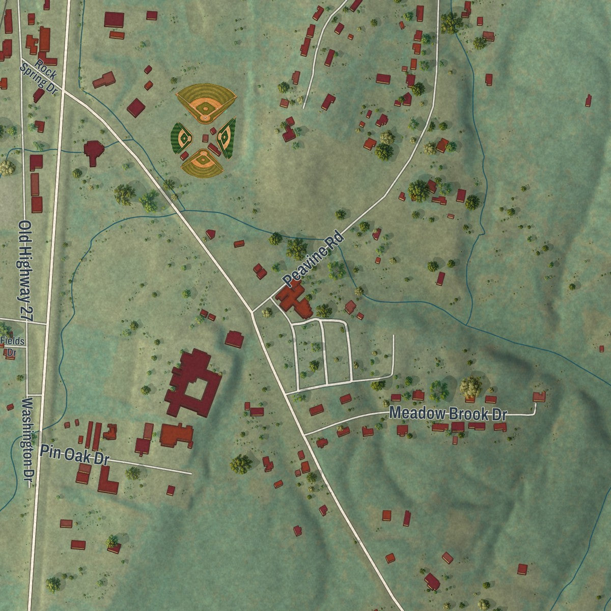 Close-up of the map of Rock Spring, Georgia print showing street and building detail