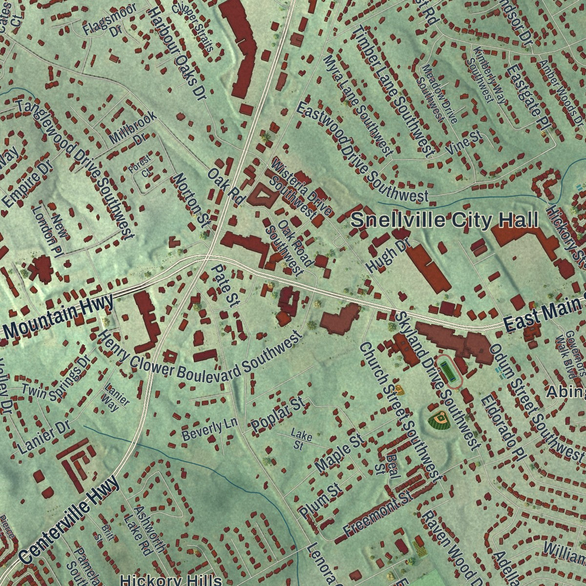 Close-up 1 of the Snellville, Georgia map artwork