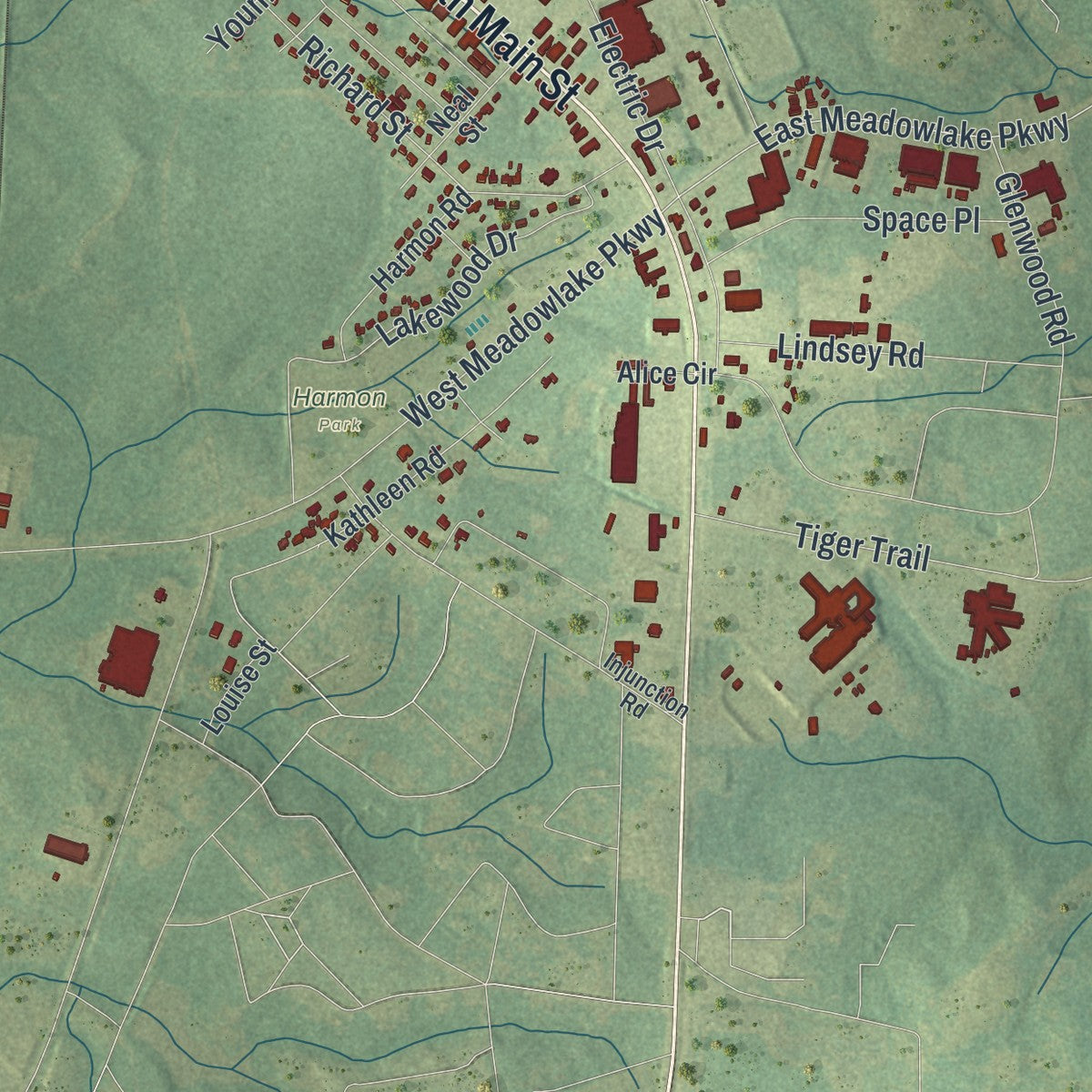 Close-up 2 of the Swainsboro, Georgia map artwork