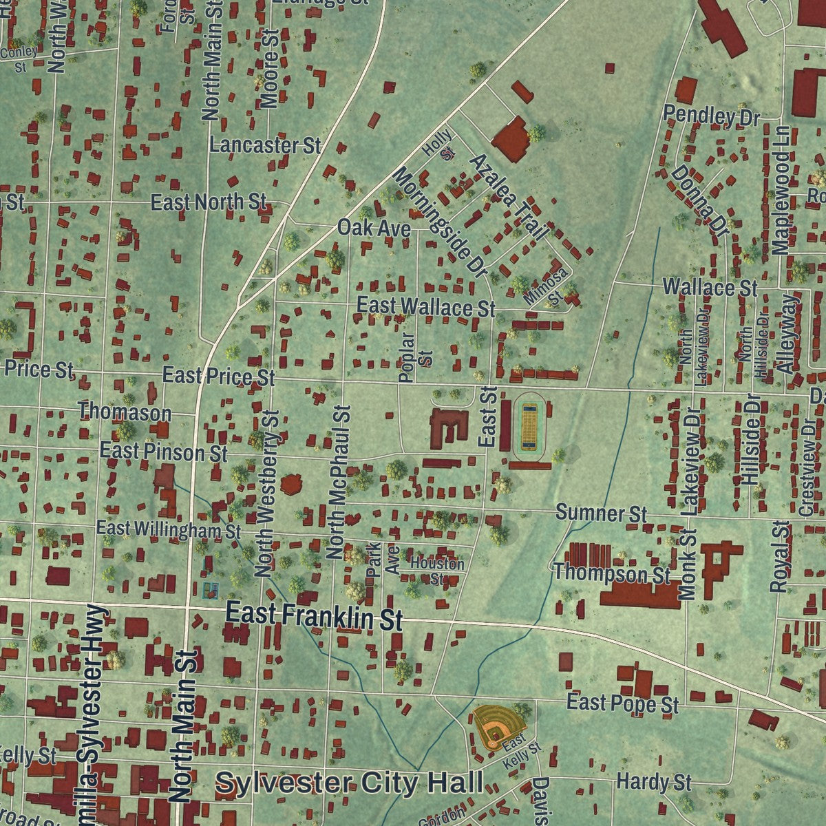 Close-up 1 of the Sylvester, Georgia map artwork