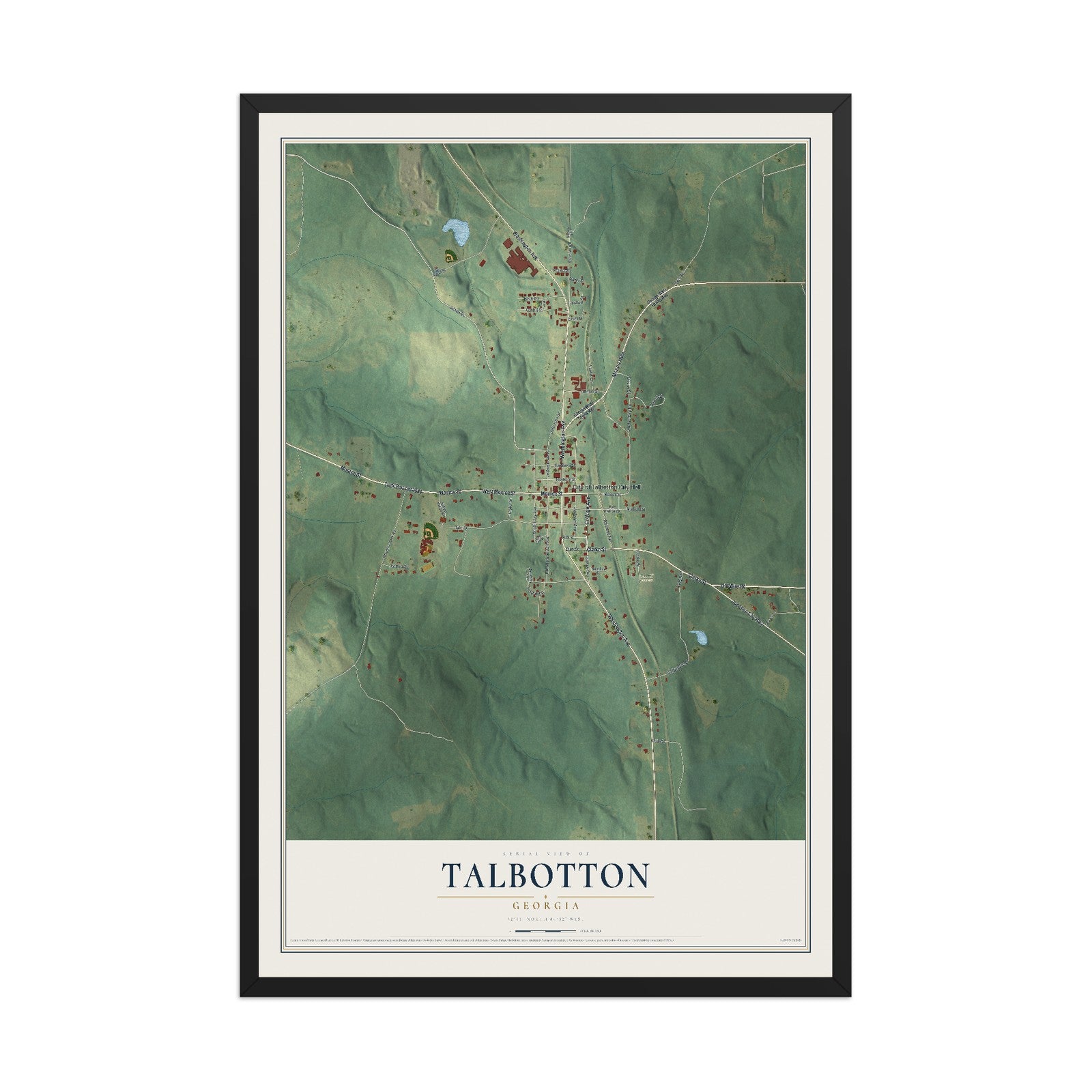 Talbotton, Georgia map print, 12" x 18" W/ Black Ayous Wood Frame mockup