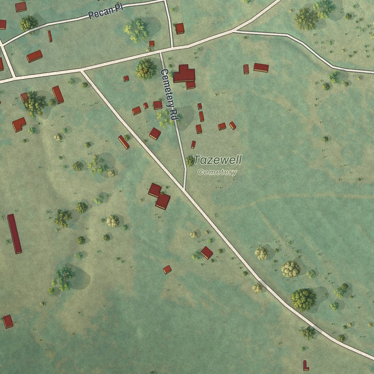 Close-up of the map of Tazewell, Georgia print showing street and building detail
