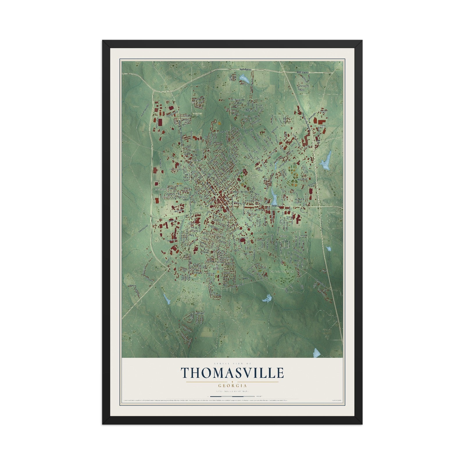 Thomasville, Georgia map print, 12" x 18" W/ Black Ayous Wood Frame mockup