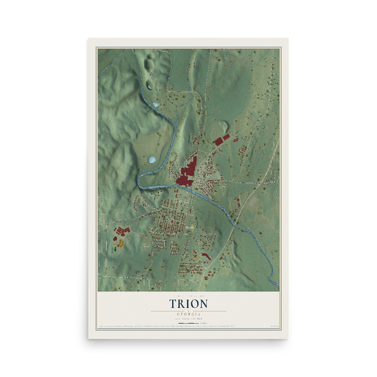Trion, Georgia map print, 12" x 18" Archival Matte Print mockup