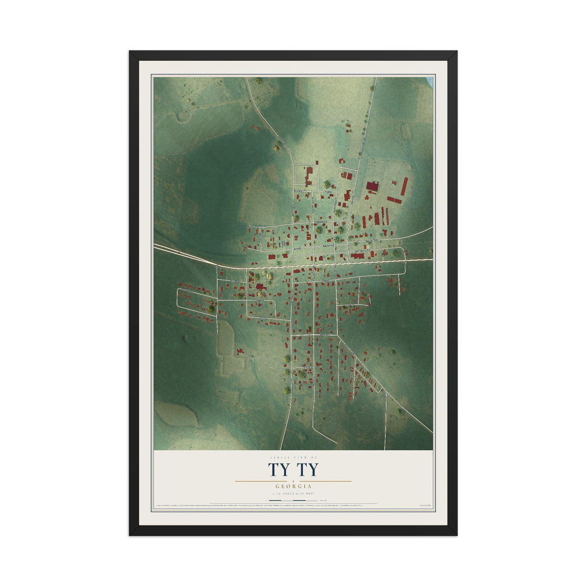 Ty Ty, Georgia map print, 12" x 18" W/ Black Ayous Wood Frame mockup