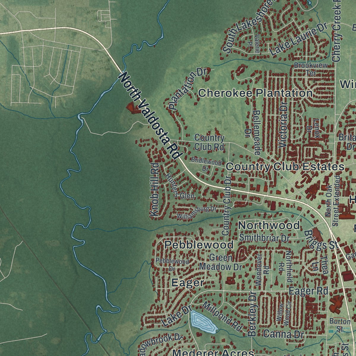 Close-up 2 of the Valdosta, Georgia map artwork