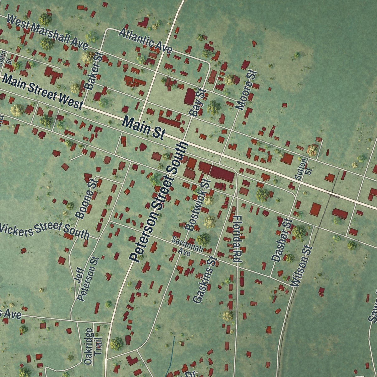 Close-up 1 of the Willacoochee, Georgia map artwork