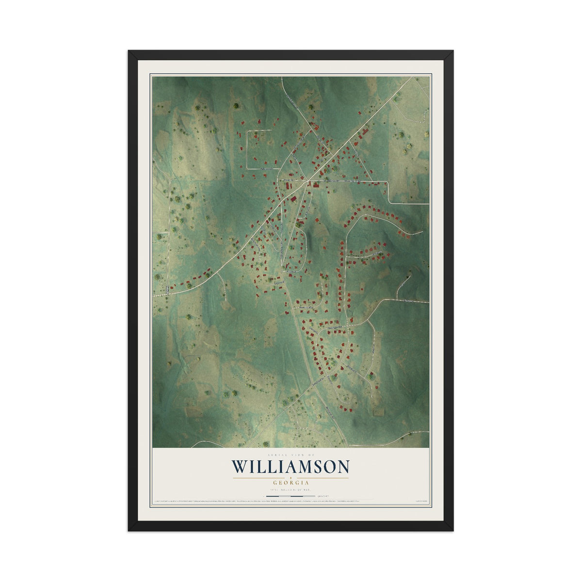 Williamson, Georgia map print, 12" x 18" W/ Black Ayous Wood Frame mockup