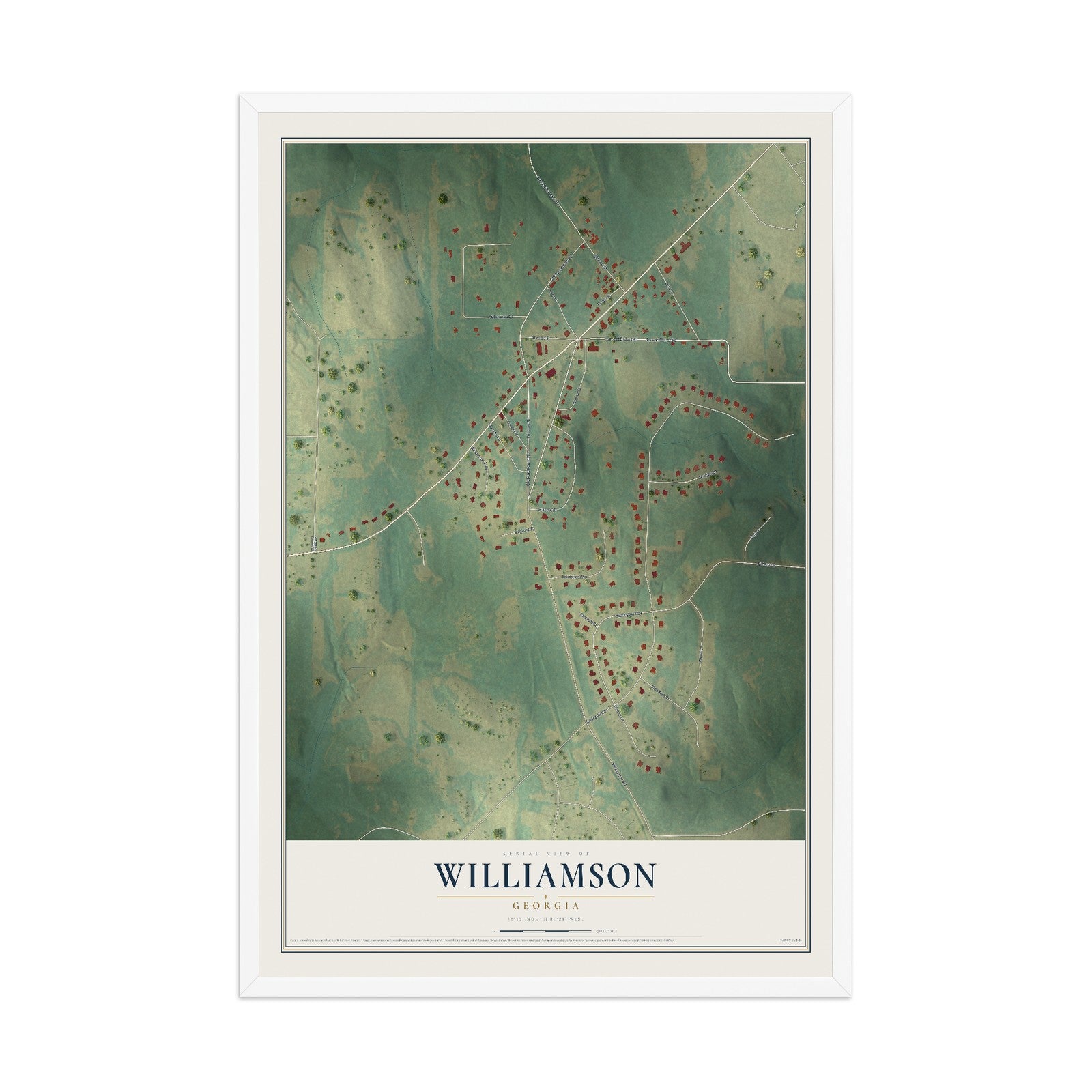 Williamson, Georgia map print, 12" x 18" W/ White Ayous Wood Frame mockup