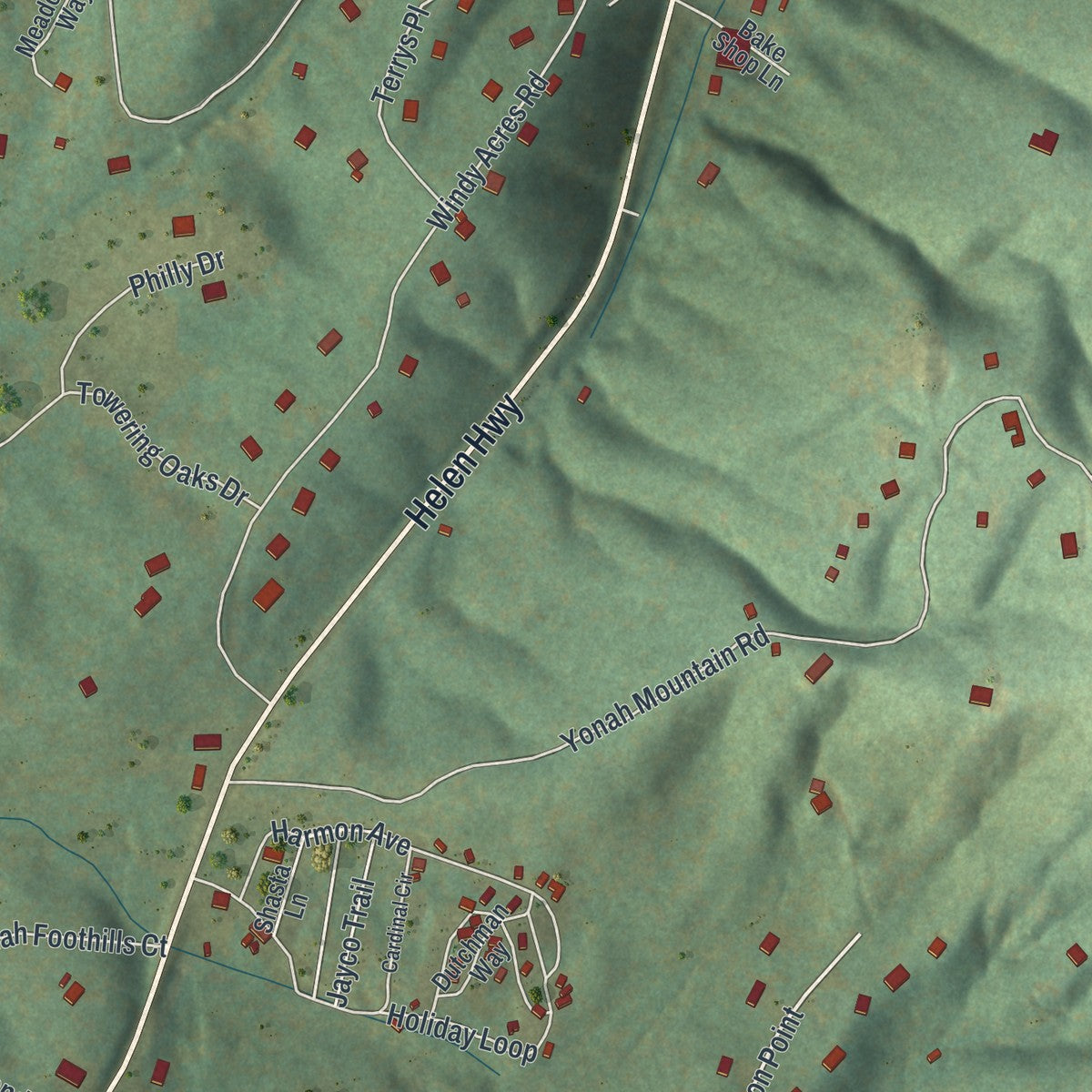 Close-up of the map of Yonah, Georgia print showing street and building detail