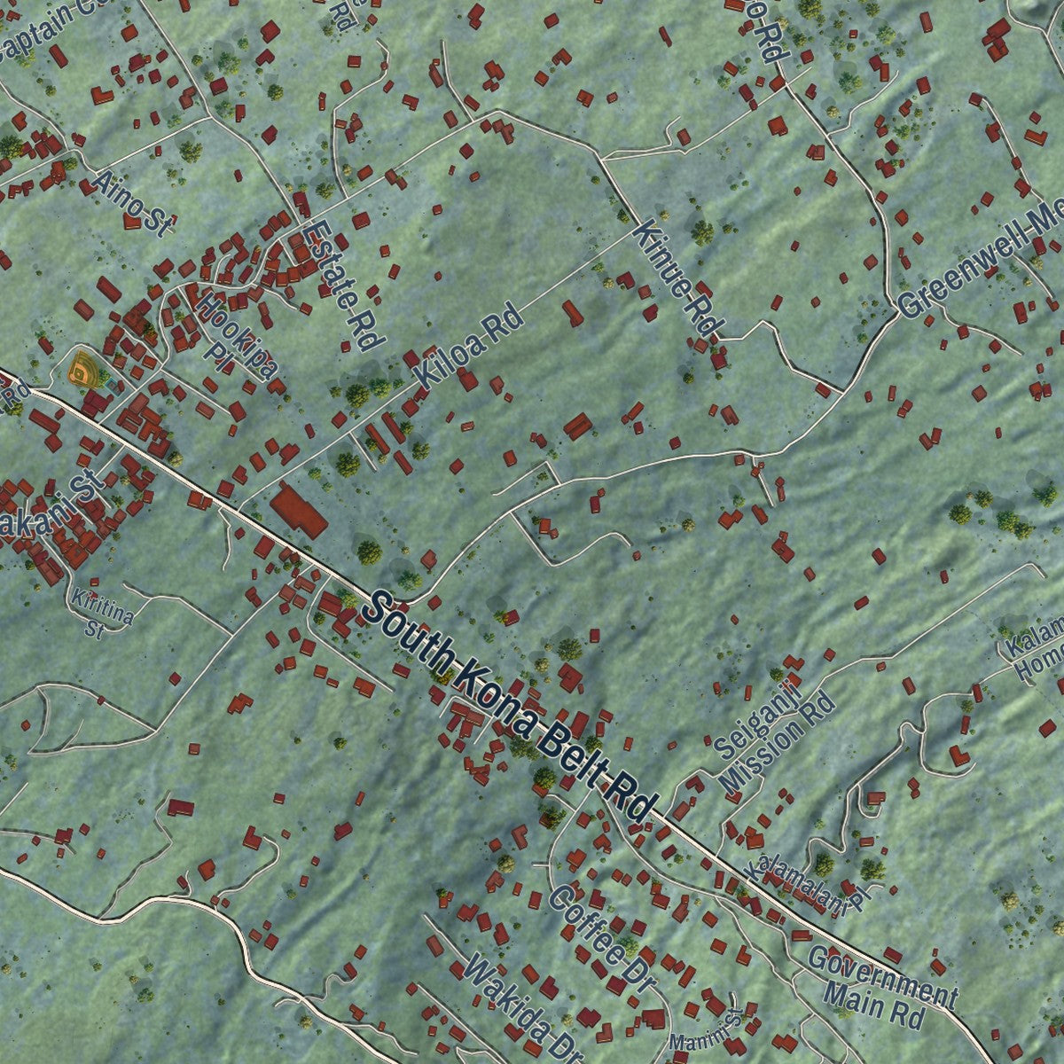 Close-up of the map of Captain Cook, Hawaii print showing street and building detail
