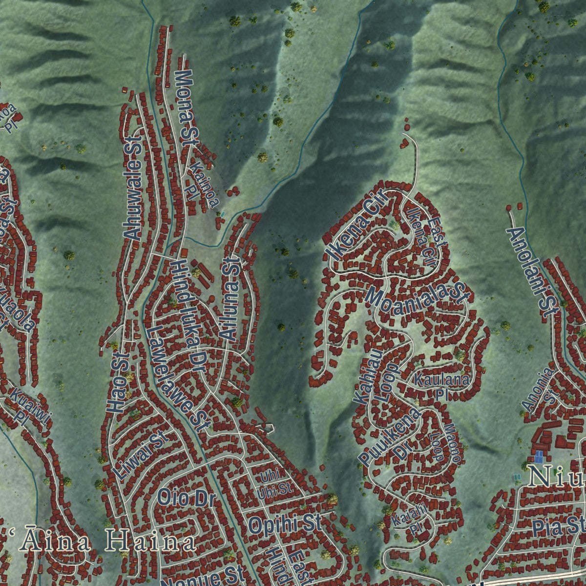 Close-up of the map of East Honolulu, Hawaii print showing street and building detail