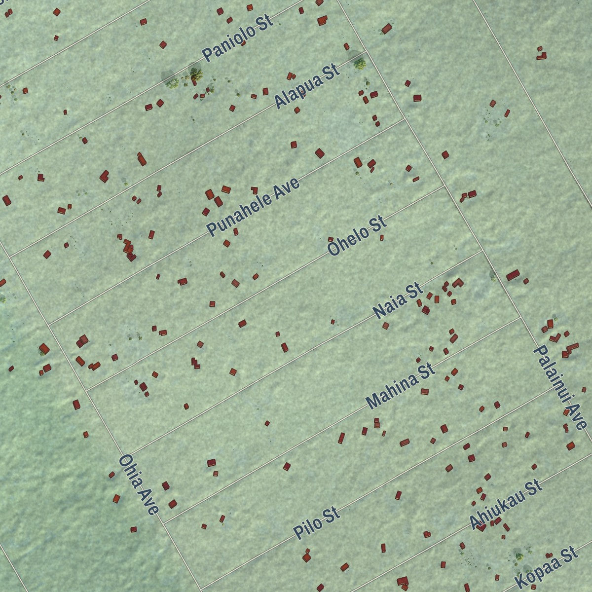 Close-up of the map of Eden Roc, Hawaii print showing street and building detail