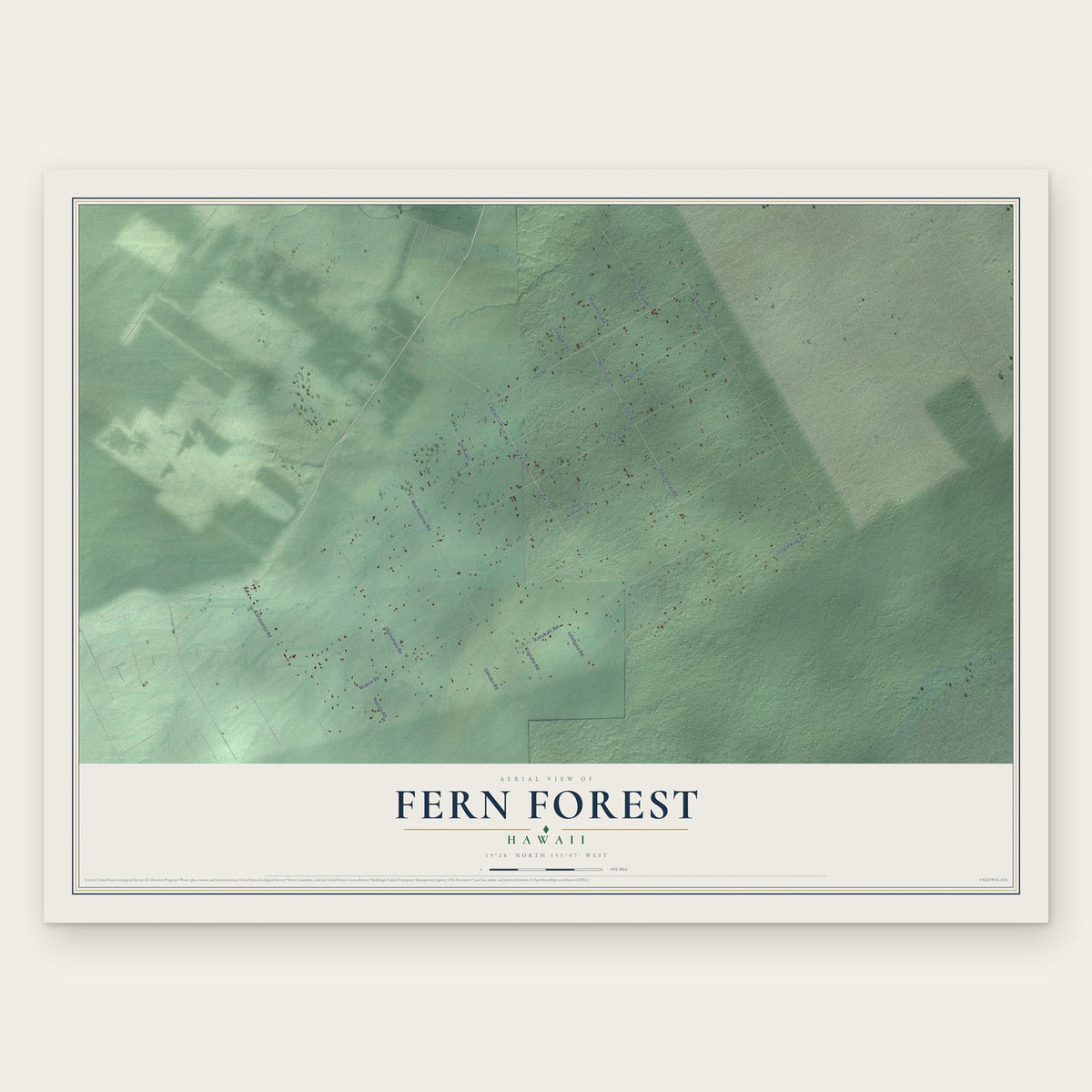 Fern Forest, Hawaii map print, the full design