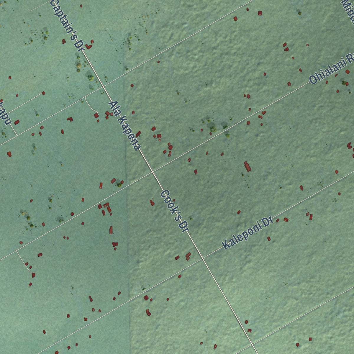 Close-up of the map of Fern Forest, Hawaii print showing street and building detail