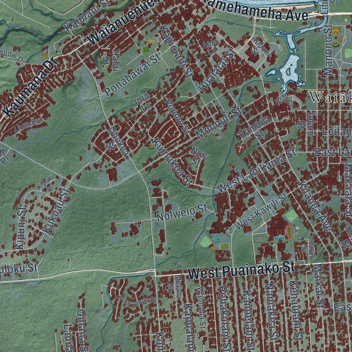 Close-up of the map of Hilo, Hawaii print showing street and building detail