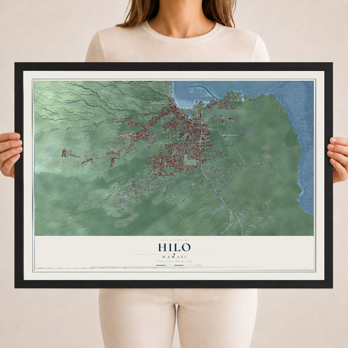 Map of Hilo, Hawaii, 18 x 24 inch print in a black wood frame