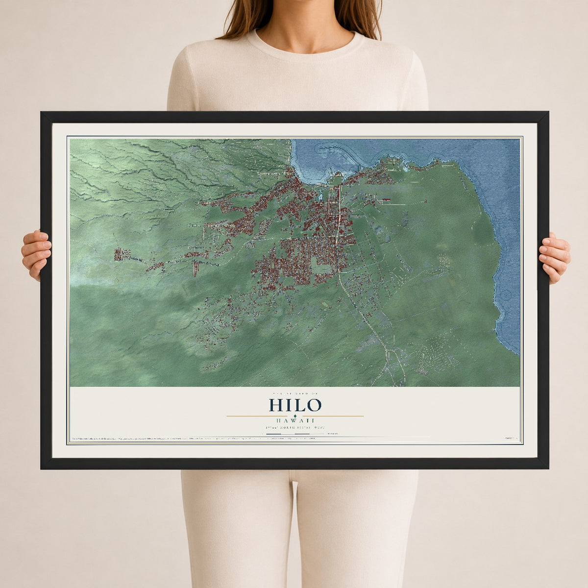 Map of Hilo, Hawaii, 24 x 36 inch print in a black wood frame