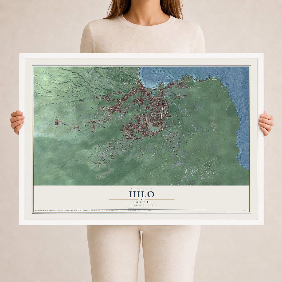 Map of Hilo, Hawaii, 24 x 36 inch print in a white wood frame