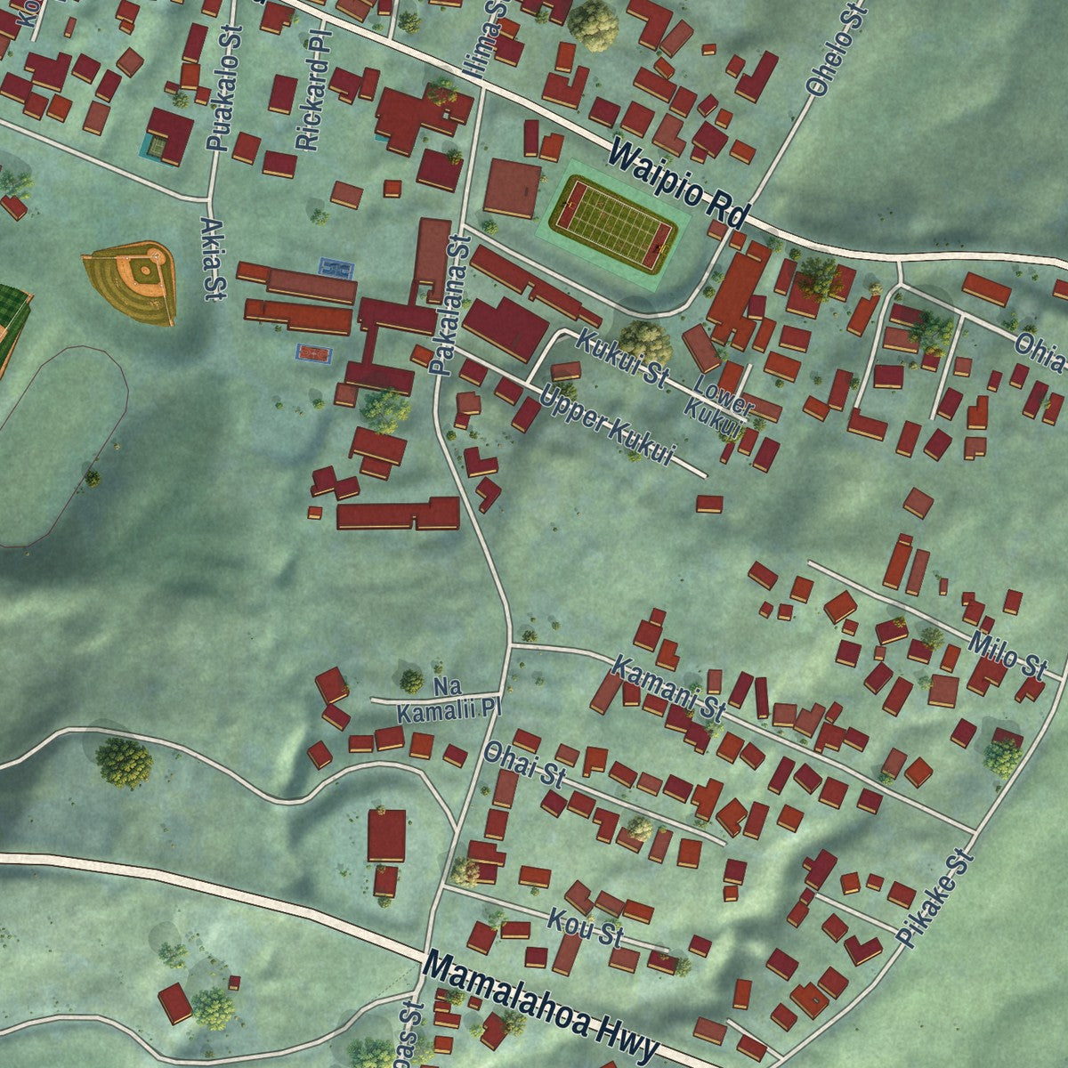 Close-up of the map of Honokaa, Hawaii print showing street and building detail