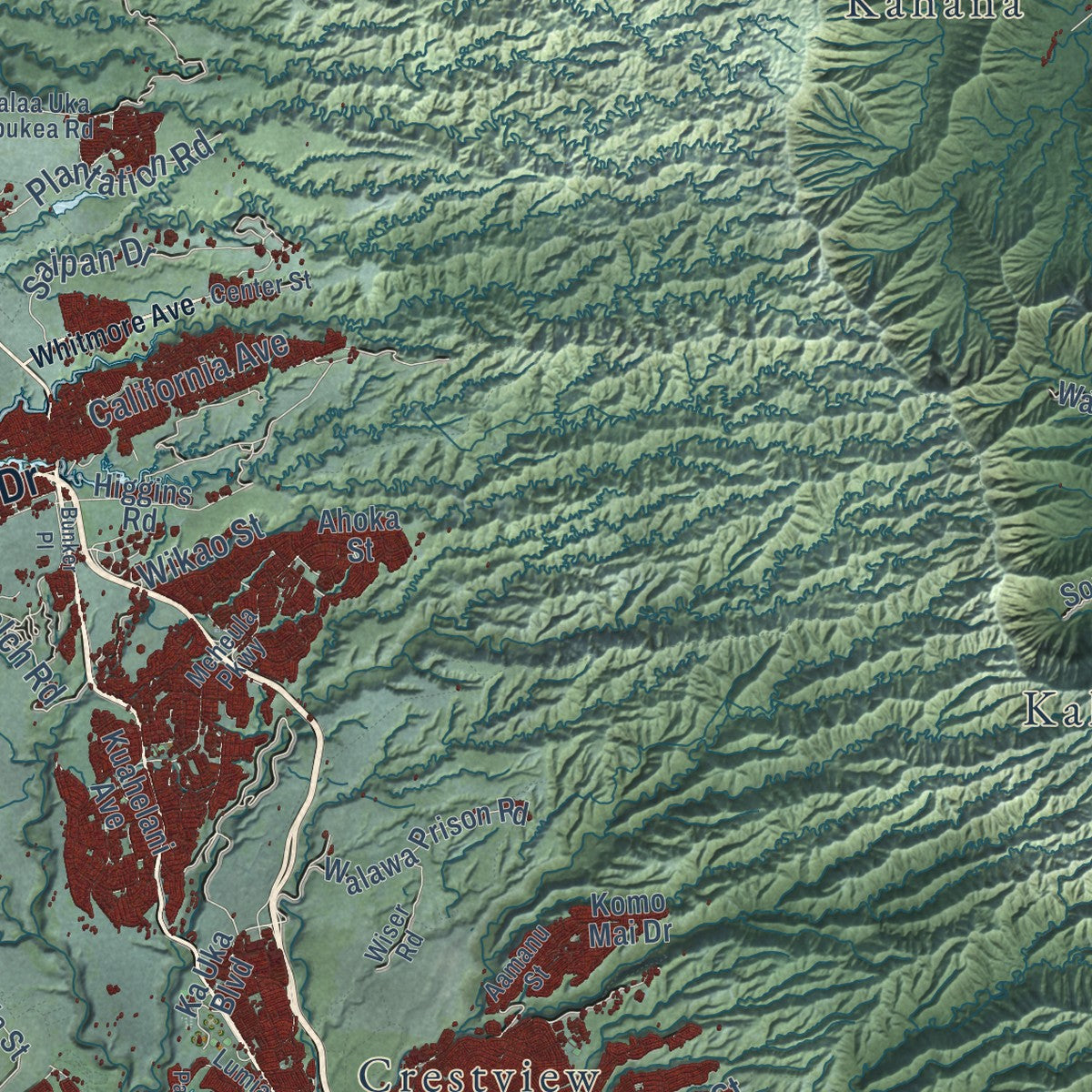 Close-up of the map of Honolulu, Hawaii print showing street and building detail