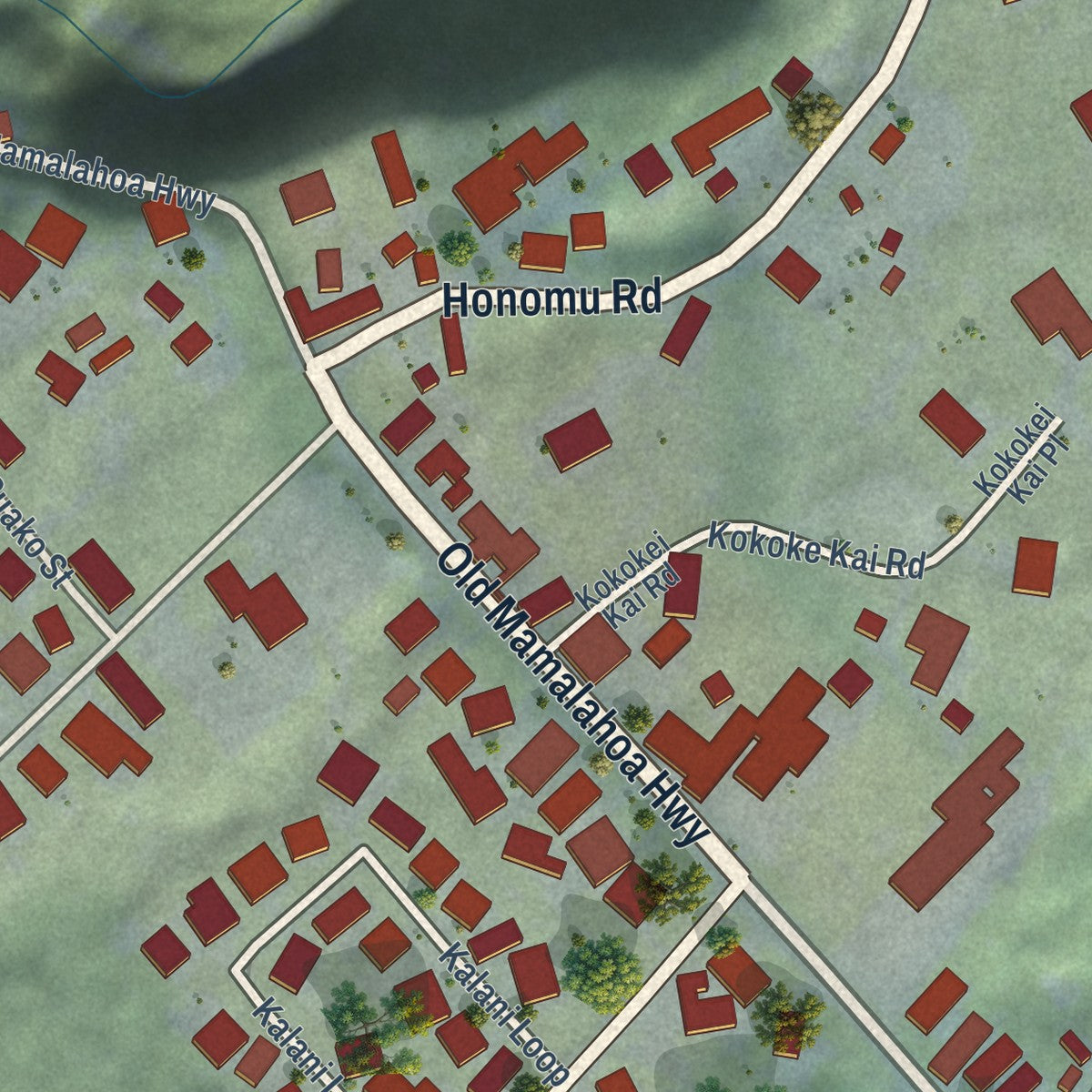 Close-up of the map of Honomu, Hawaii print showing street and building detail