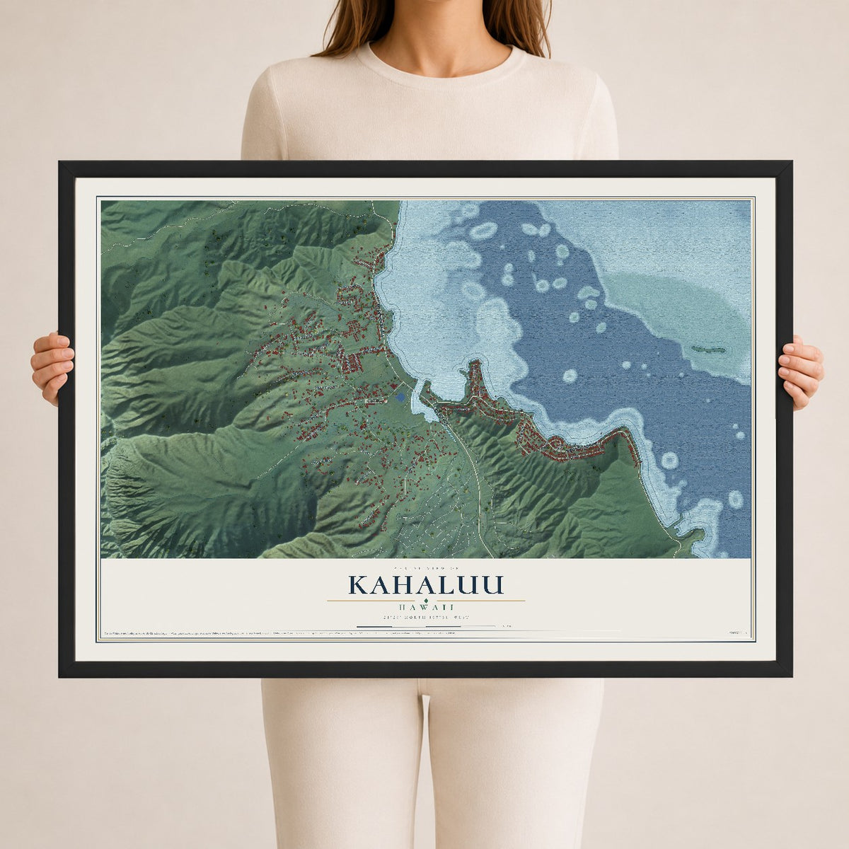 Map of Kahaluu, Hawaii, 24 x 36 inch print in a black wood frame