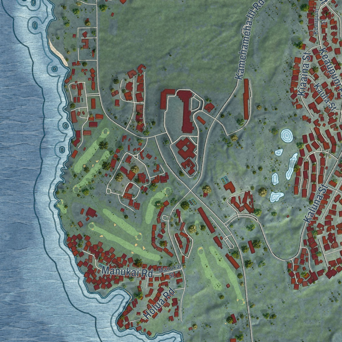 Close-up of the map of Kahaluu-Keauhou, Hawaii print showing street and building detail
