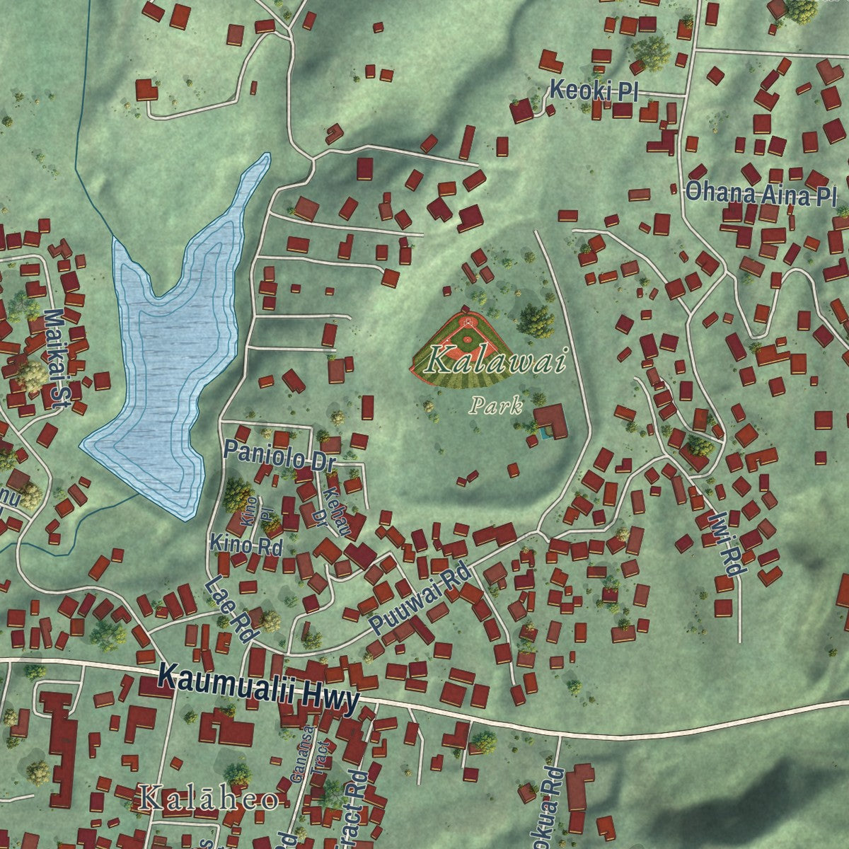 Close-up of the map of Kalaheo, Hawaii print showing street and building detail