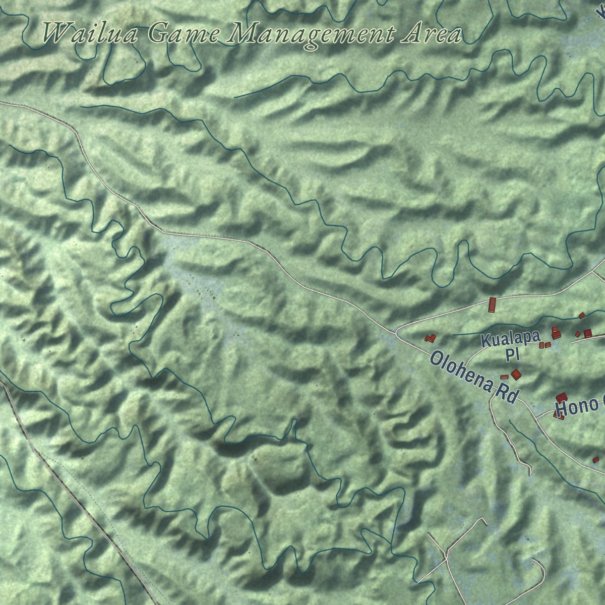 Close-up of the map of Kapaa, Hawaii print showing street and building detail