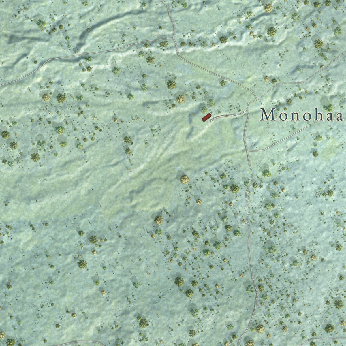 Close-up of the map of Kealakekua, Hawaii print showing street and building detail