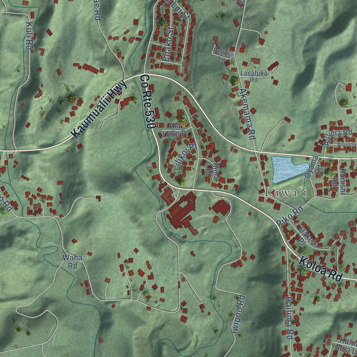 Close-up of the map of Lawai, Hawaii print showing street and building detail