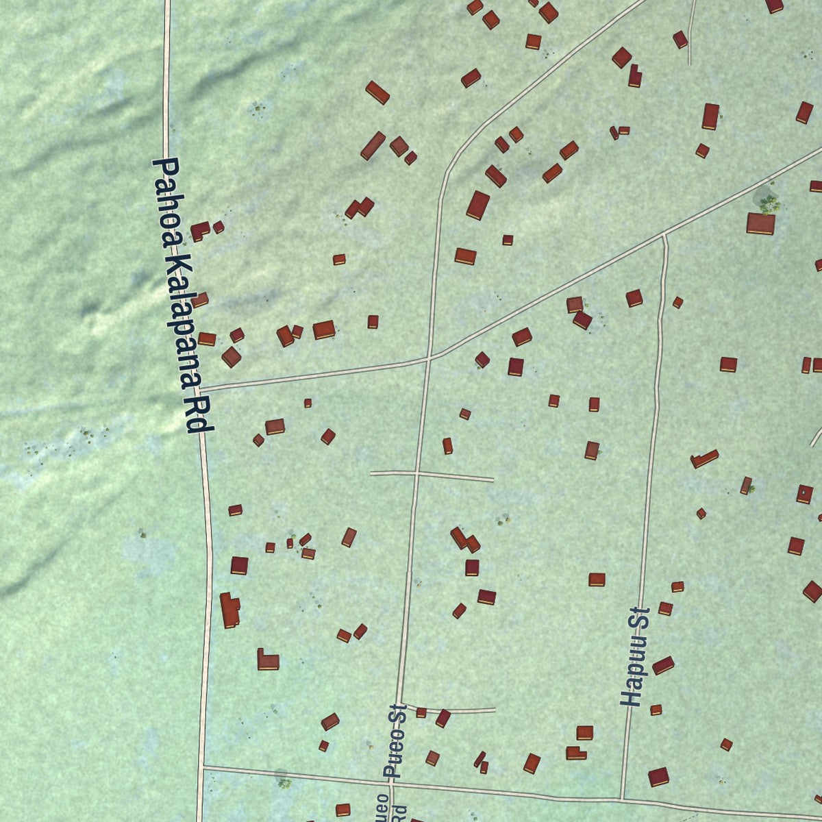 Close-up of the map of Leilani Estates, Hawaii print showing street and building detail