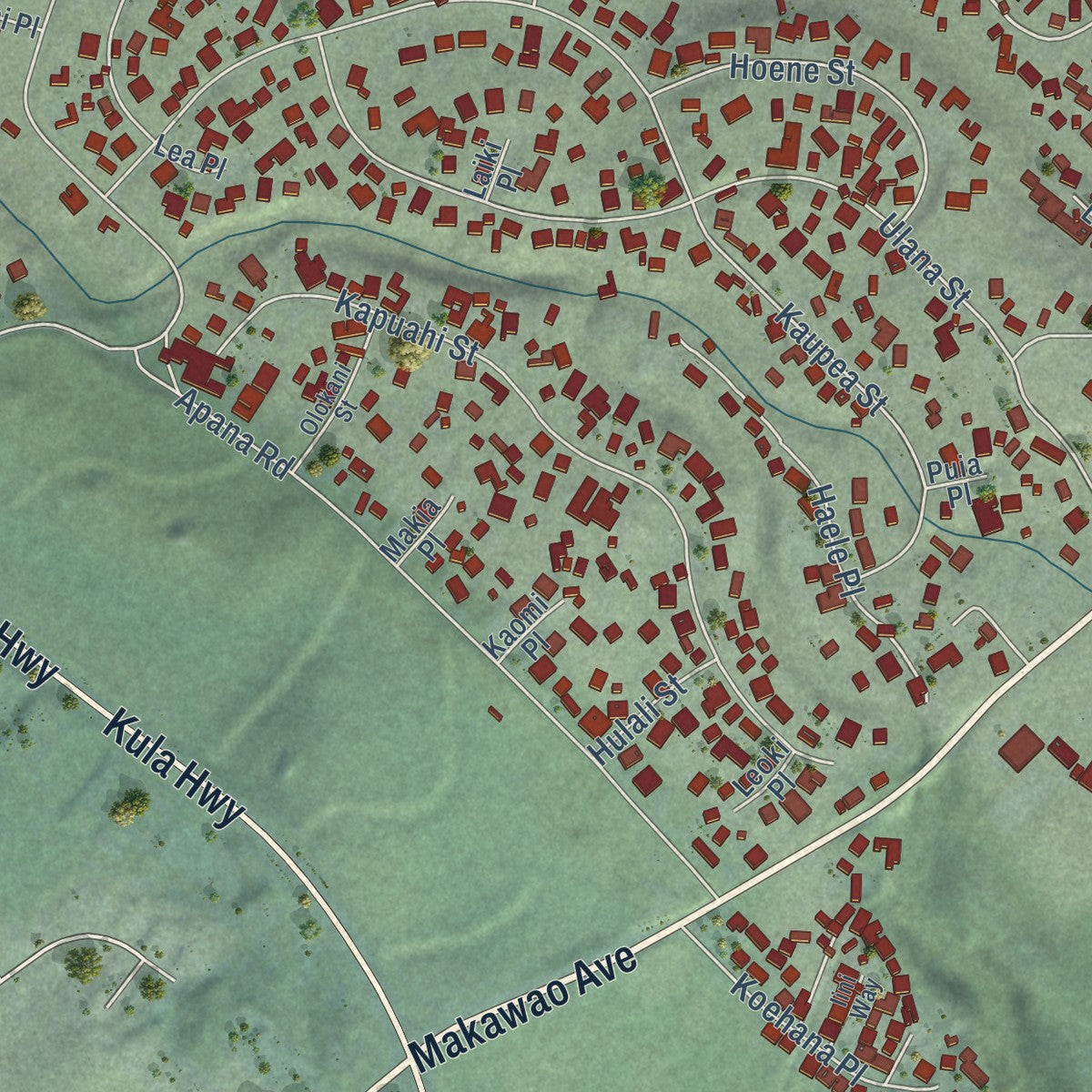 Second close-up of the map of Makawao, Hawaii print showing more streets and buildings