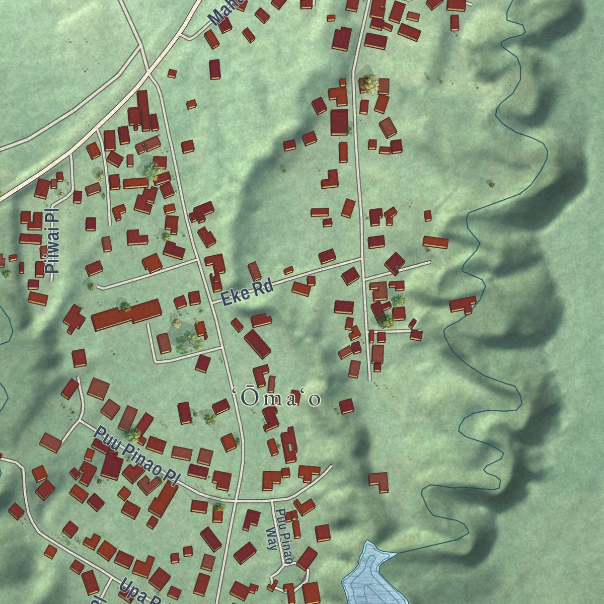 Close-up of the map of Omao, Hawaii print showing street and building detail