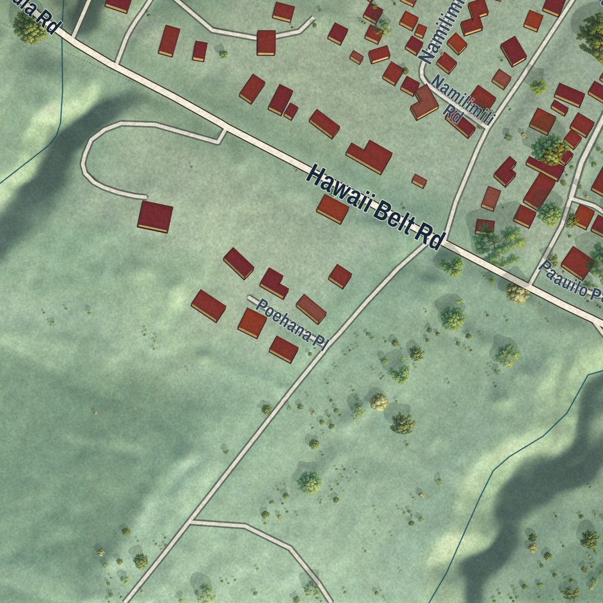 Close-up of the map of Paauilo, Hawaii print showing street and building detail