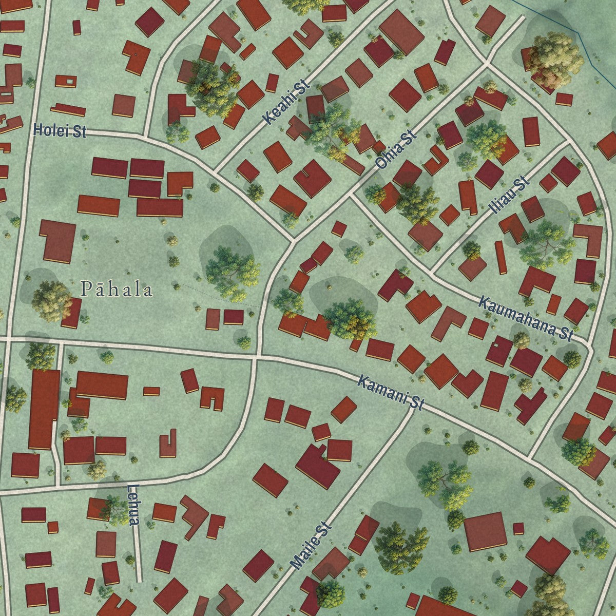 Close-up of the map of Pahala, Hawaii print showing street and building detail