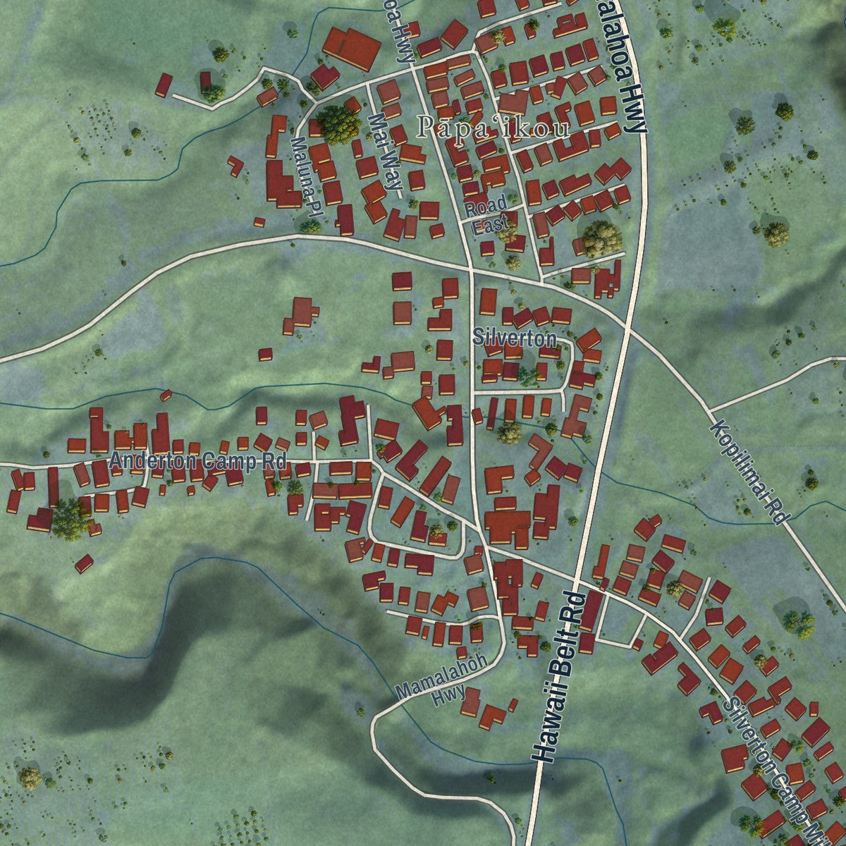 Close-up of the map of Papaikou, Hawaii print showing street and building detail