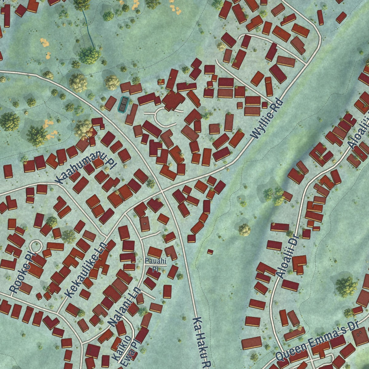 Close-up of the map of Princeville, Hawaii print showing street and building detail