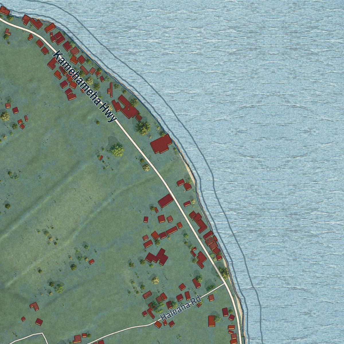 Close-up of the map of Punaluu, Hawaii print showing street and building detail