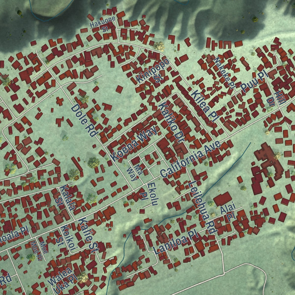 Close-up of the map of Wahiawa, Hawaii print showing street and building detail