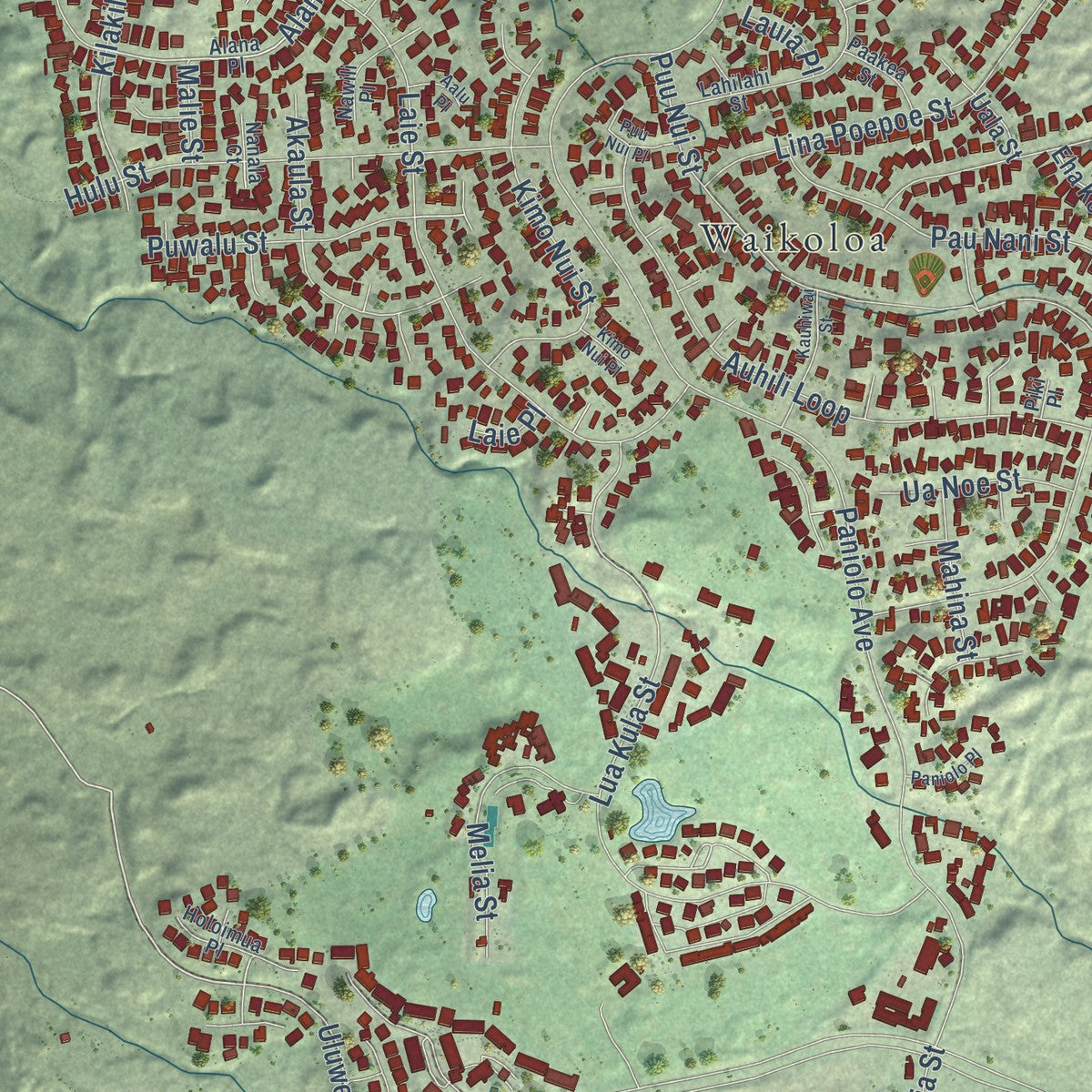 Close-up of the map of Waikoloa Village, Hawaii print showing street and building detail