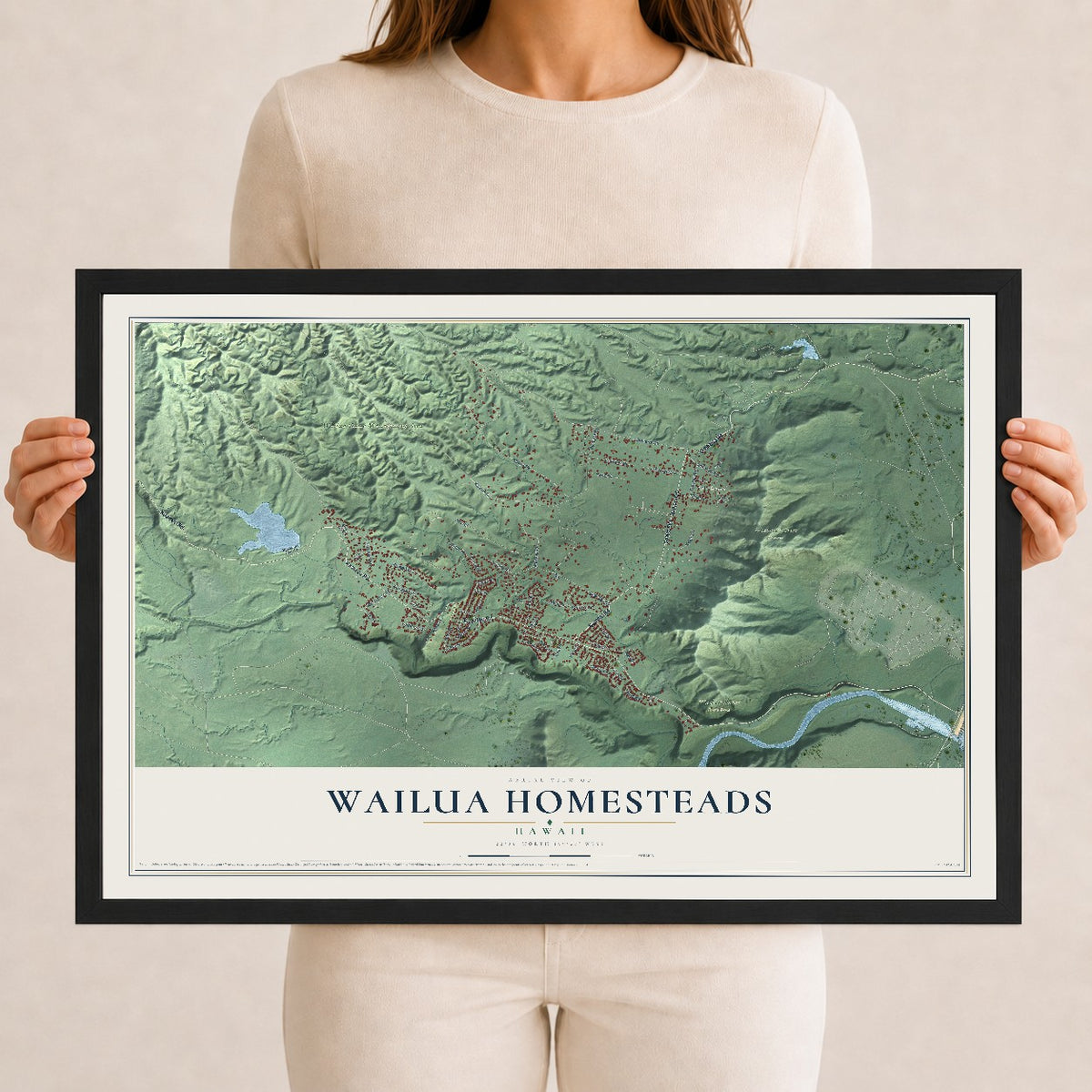 Map of Wailua Homesteads, Hawaii, 12 x 18 inch print in a black wood frame