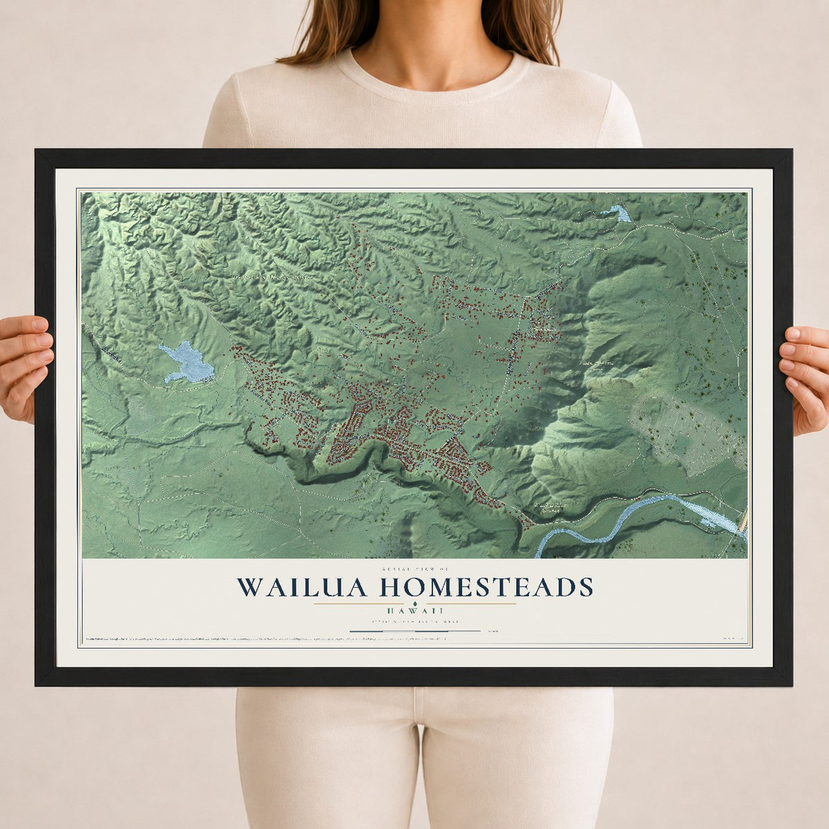 Map of Wailua Homesteads, Hawaii, 18 x 24 inch print in a black wood frame