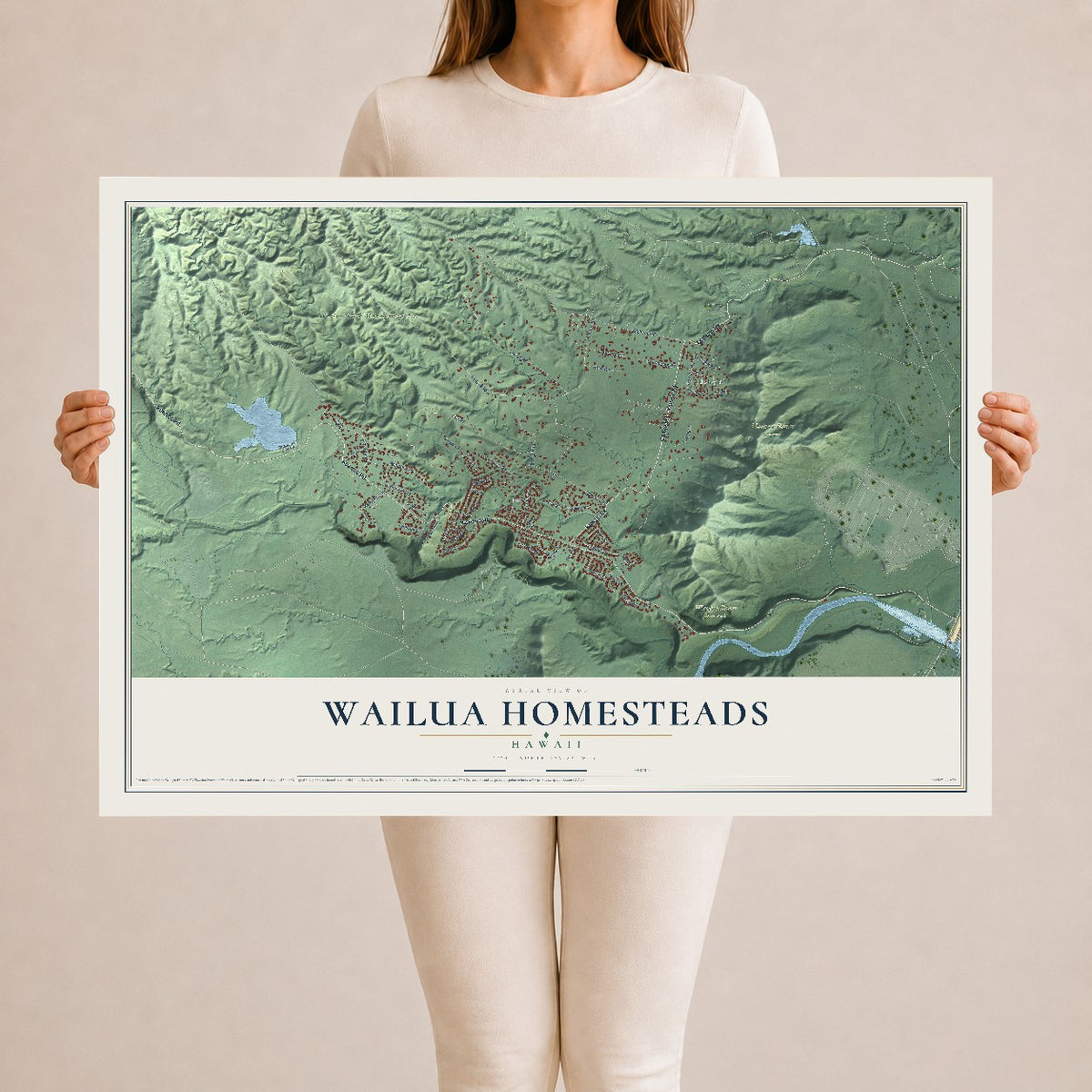 Map of Wailua Homesteads, Hawaii, 24 x 36 inch unframed archival matte print