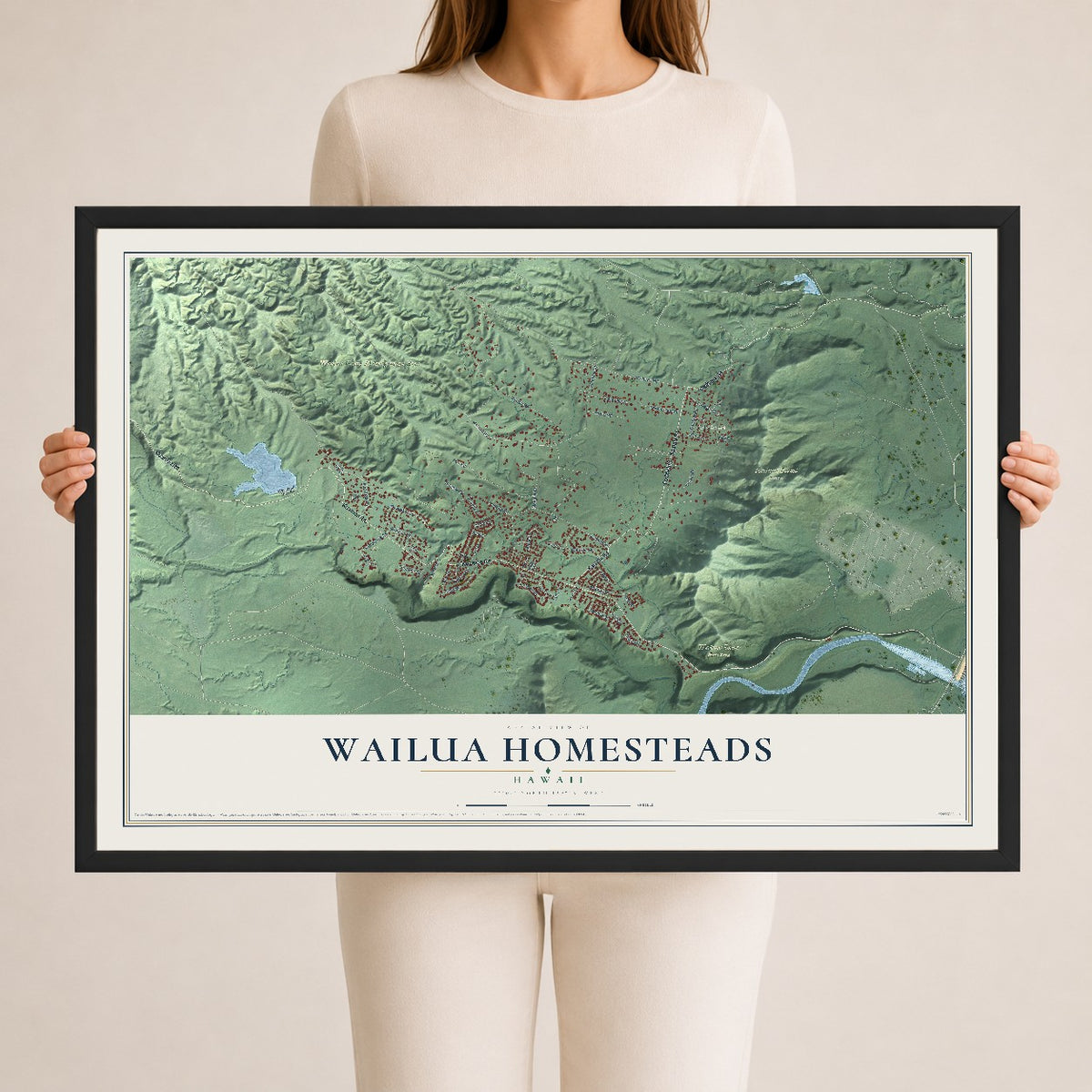 Map of Wailua Homesteads, Hawaii, 24 x 36 inch print in a black wood frame